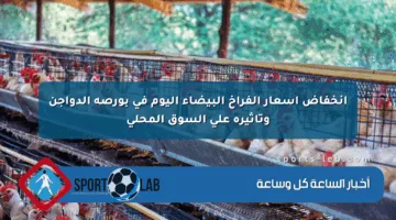 انخفاض أسعار الفراخ البيضاء اليوم في بورصة الدواجن وتأثيره على السوق المحلي
